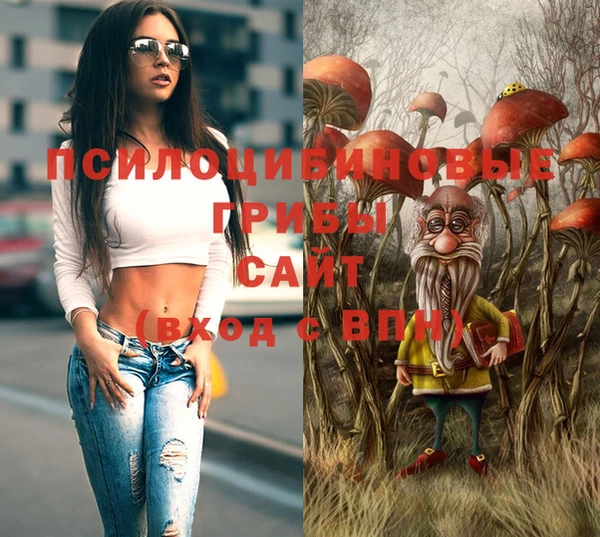 герыч Алзамай